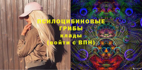 хмурый Богородск