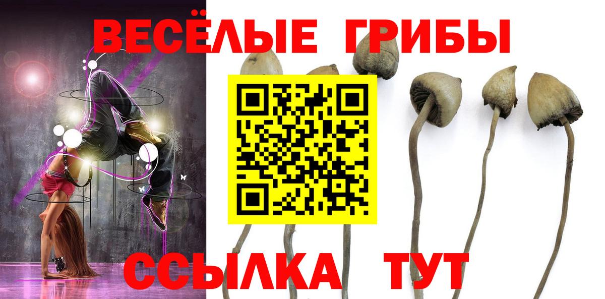 Бузулук  где найти   Галлюциногенные грибы Psilocybine cubensis  Вход с VPN  Галлюциногенные грибы MAGIC MUSHROOMS 