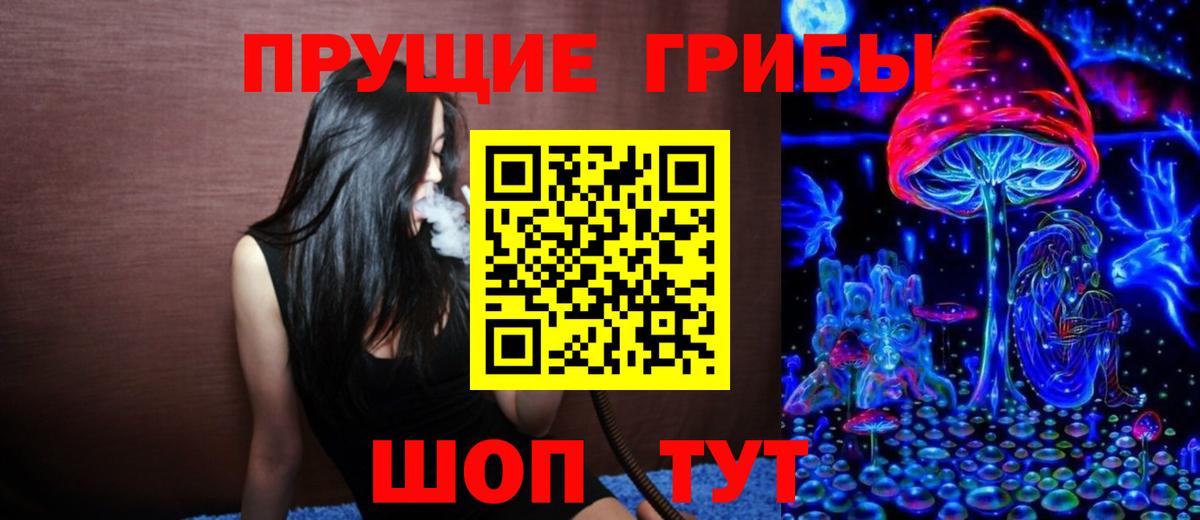 Галлюциногенные грибы Psilocybine cubensis  Бузулук  Галлюциногенные грибы мухоморы 