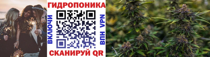 Конопля индика  Бузулук 